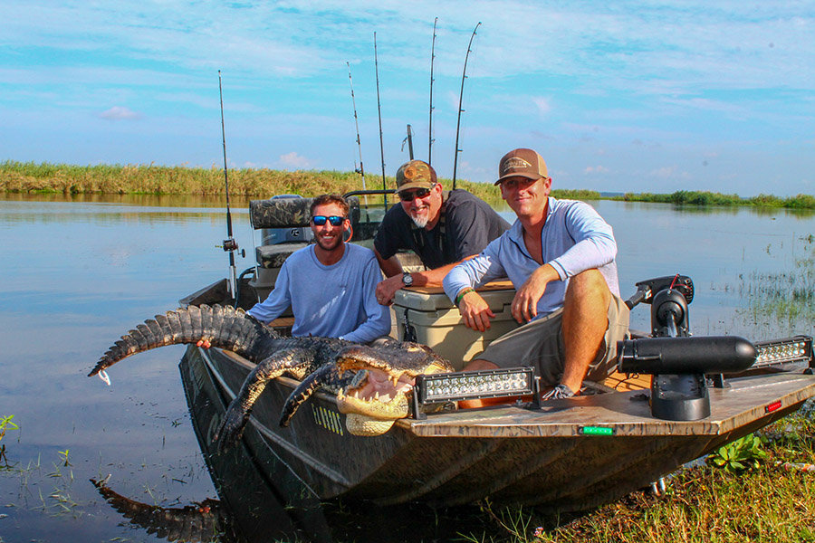 Florida Alligator hunting